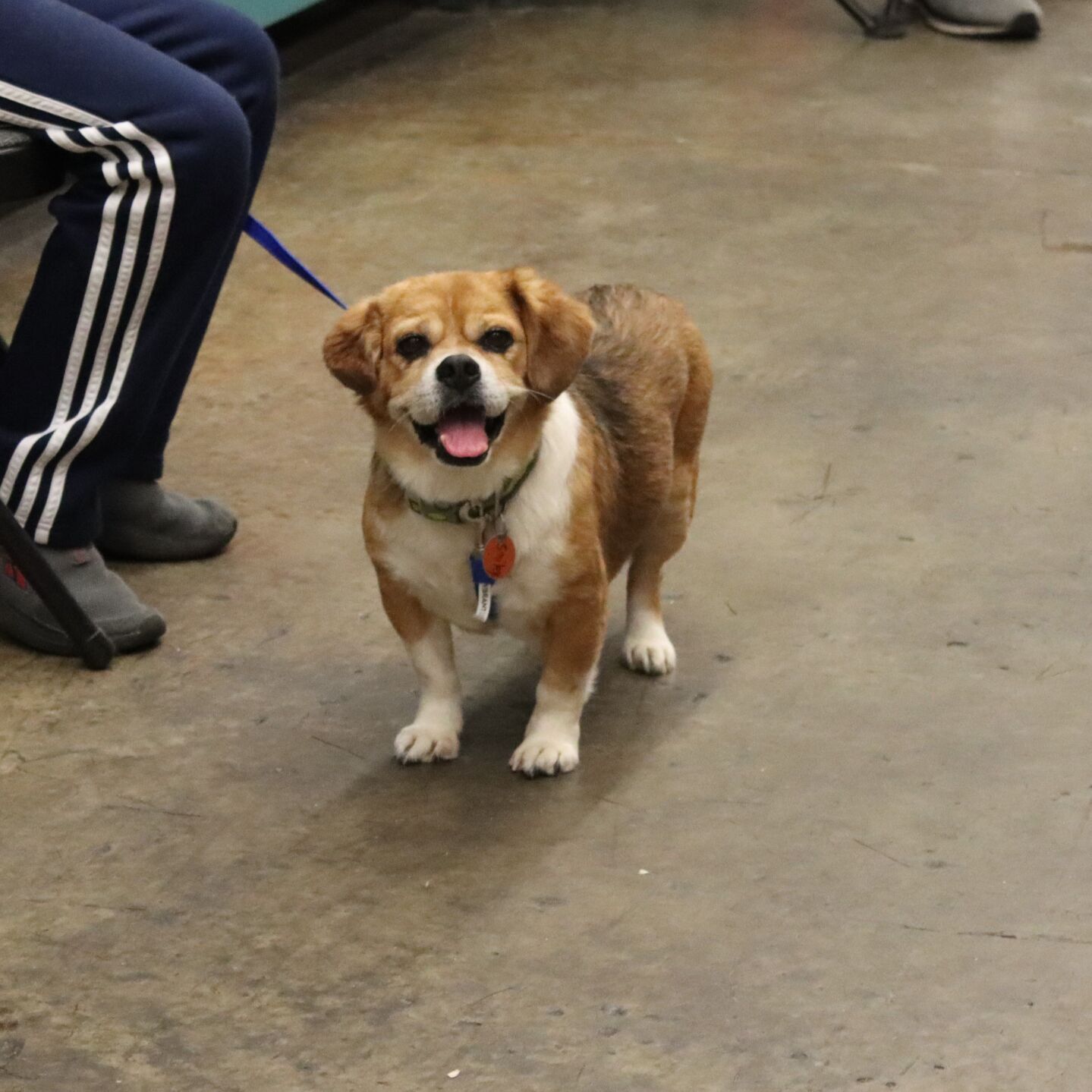 Smiley 2022-10-15 001.JPG